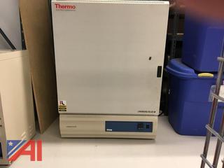 Thermo Electron Lindeburg-Blue M Drying Oven