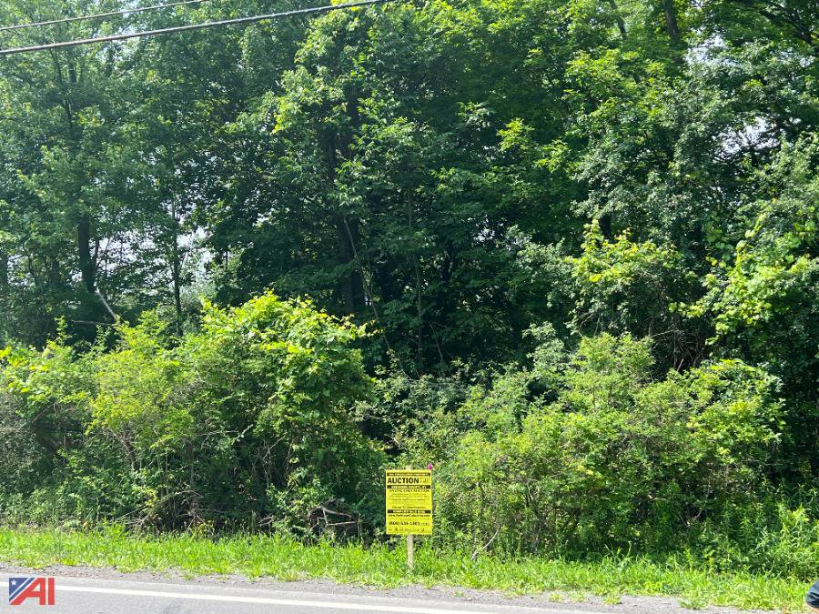 Auctions International Auction Herkimer County Tax Foreclosed Real