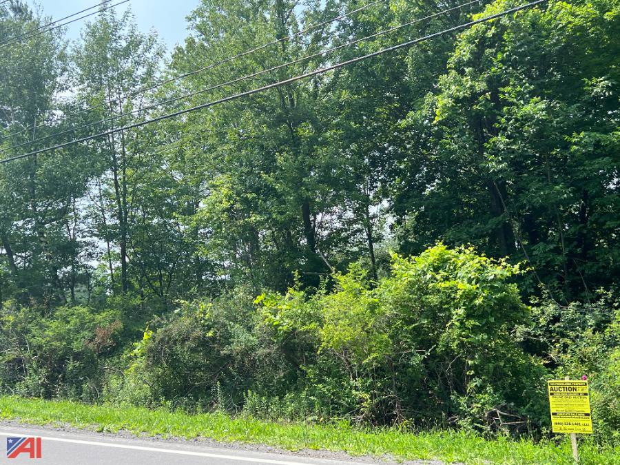 Auctions International Auction Herkimer County Tax Foreclosed Real