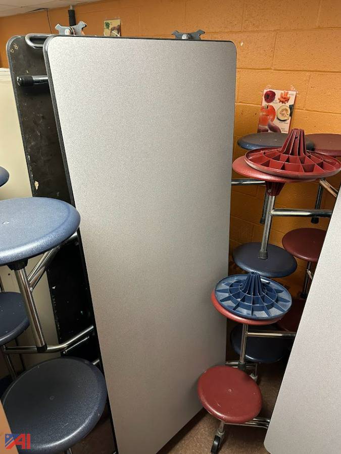 Auctions International Auction Cayuga CentersNY 33809 ITEM (2) 12