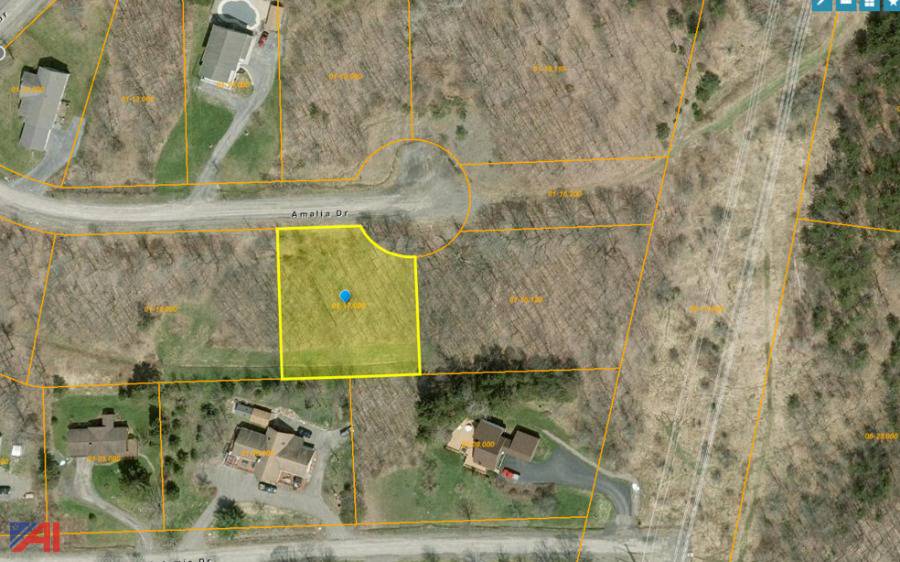 Auctions International Auction Cortland County Tax Foreclosed Real