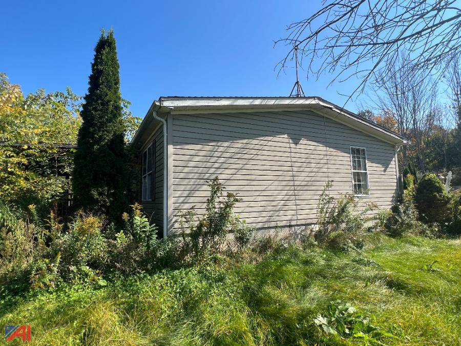 Auctions International Auction Chemung County County Owned Real Estate Auction 34821 ITEM