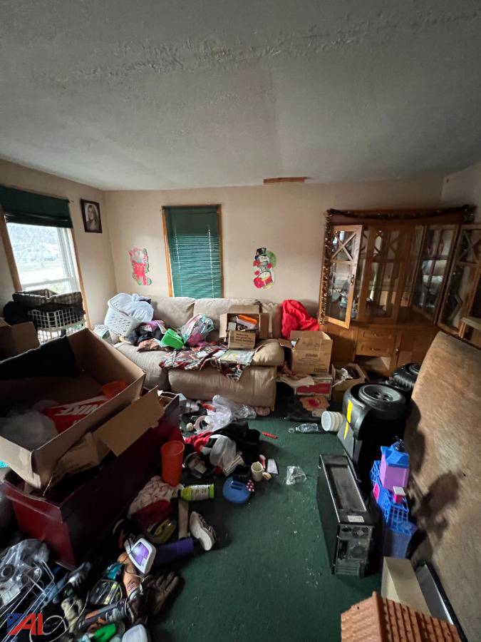 Auctions International Auction Chemung County County Owned Real