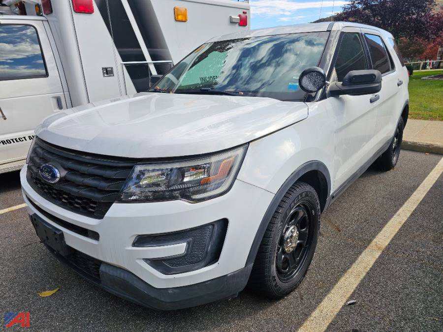 Auctions International Auction Town of Fishkill PDNY 34993 ITEM