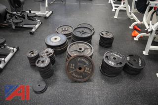 (90) Plate Weights