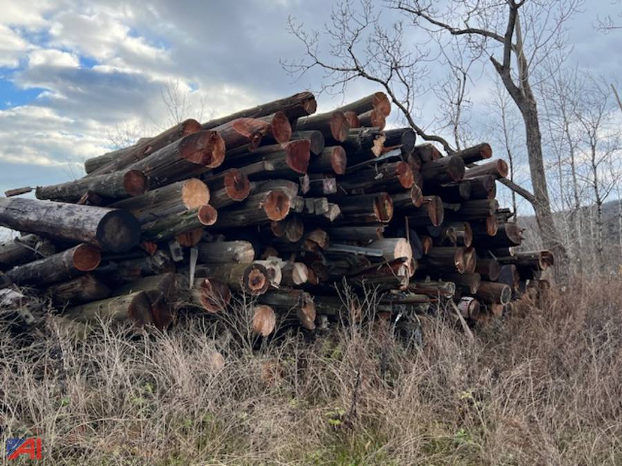 Auctions International Auction Town of German Flatts HwyNY 35537