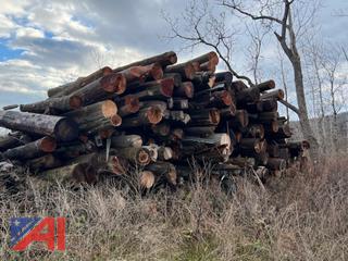 Large Lot of Cedar Poles
