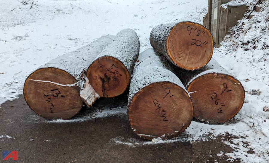 Auctions International Auction Fort Hill CemeteryNY 36327 ITEM (5