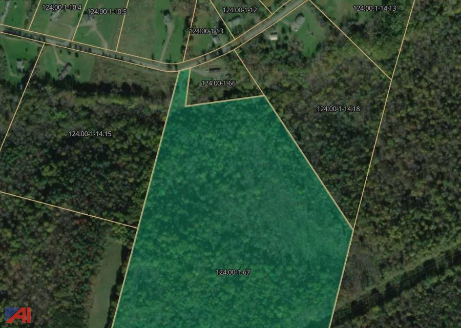 Auctions International Auction Chemung County Tax Foreclosed Real