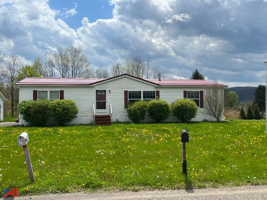 Auctions International Auction Chemung County Tax Foreclosed Real