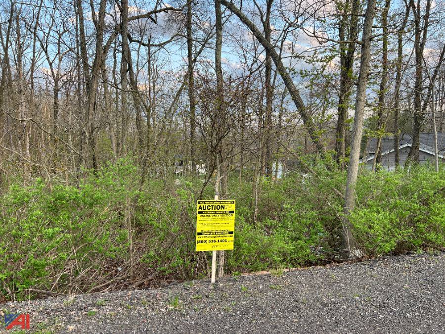 Auctions International Auction Chemung County Tax Foreclosed Real