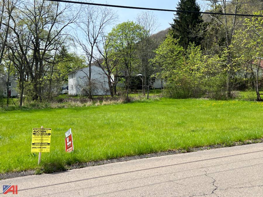 Auctions International Auction Chemung County Tax Foreclosed Real