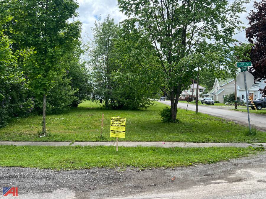 Auctions International Auction Cattaraugus County Tax Foreclosed