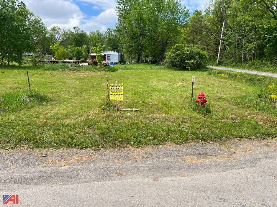 Auctions International Auction Cattaraugus County Tax Foreclosed