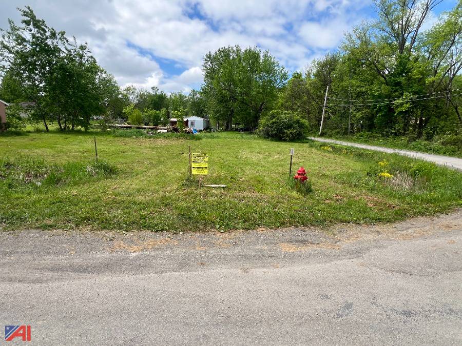 Auctions International Auction Cattaraugus County Tax Foreclosed