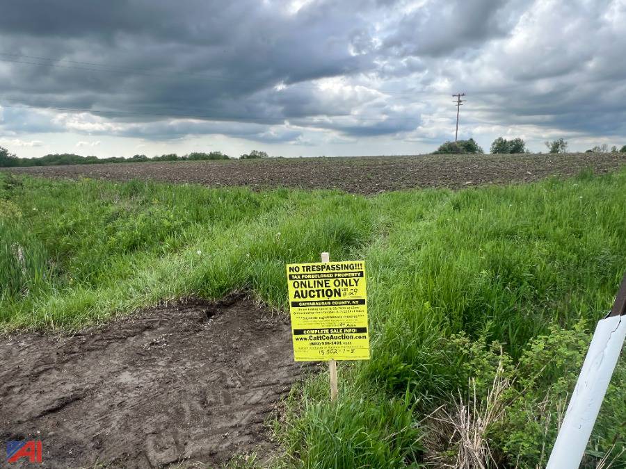 Auctions International Auction Cattaraugus County Tax Foreclosed