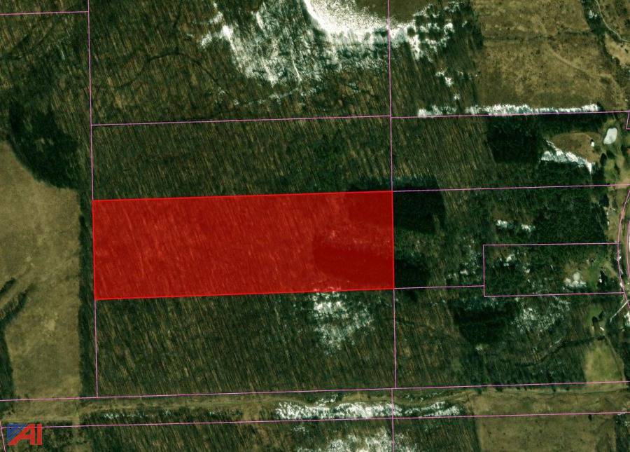 Auctions International Auction Cattaraugus County Tax Foreclosed