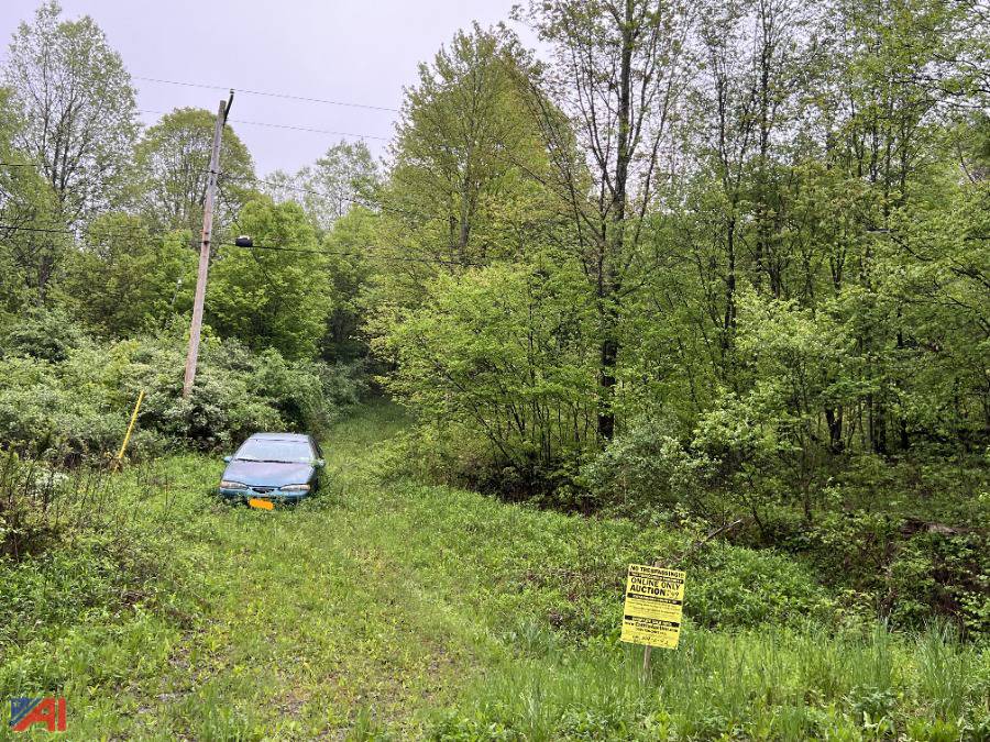 Auctions International Auction Cattaraugus County Tax Foreclosed