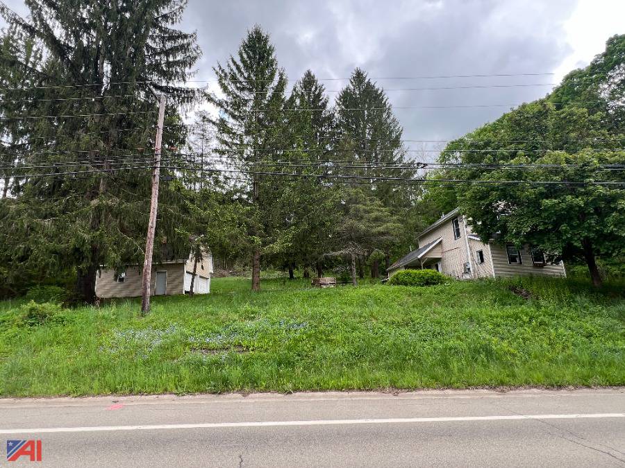 Auctions International Auction Cattaraugus County Tax Foreclosed Real Estate Auction 37670