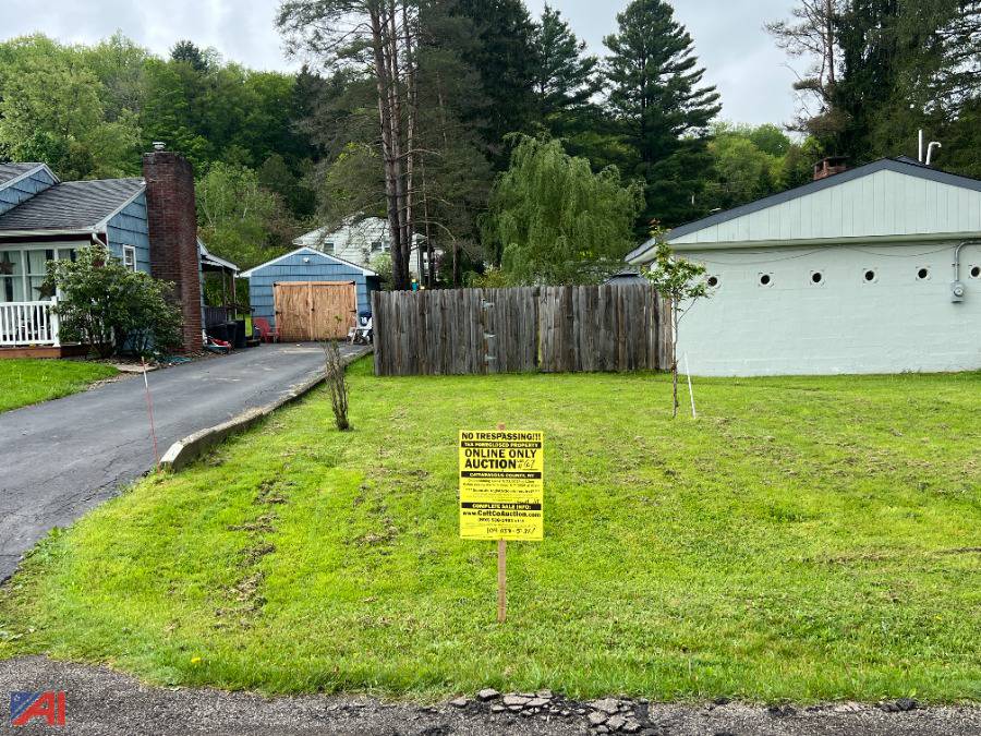 Auctions International Auction Cattaraugus County Tax Foreclosed