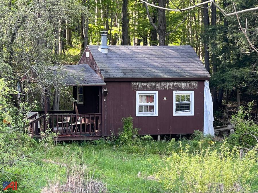 Auctions International Auction Cattaraugus County Tax Foreclosed