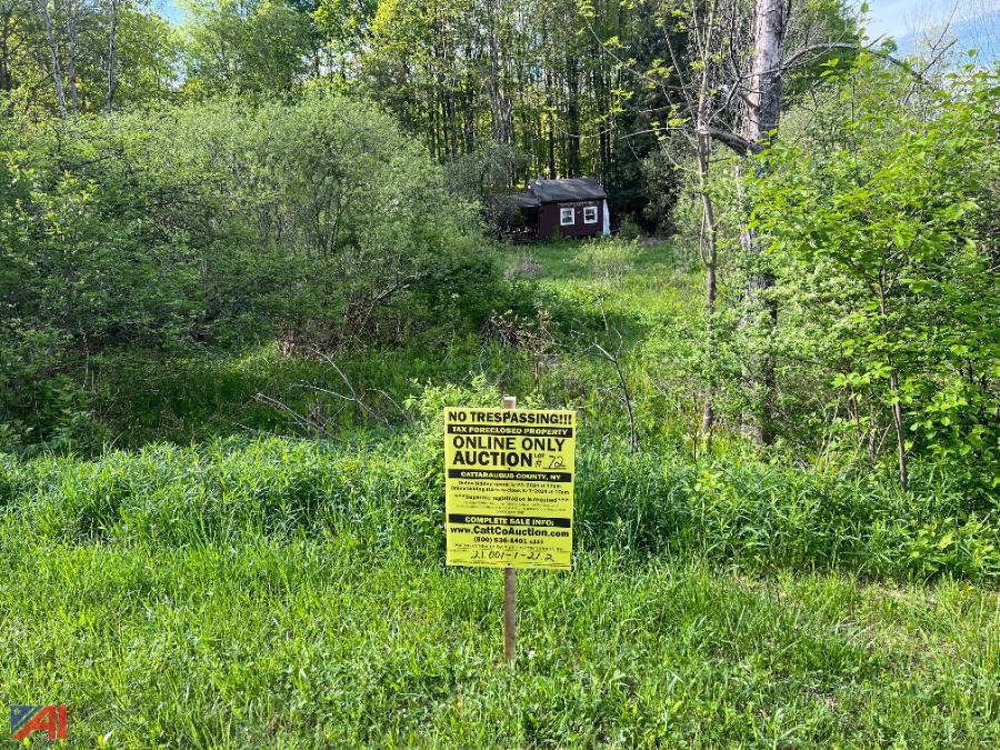 Auctions International Auction Cattaraugus County Tax Foreclosed