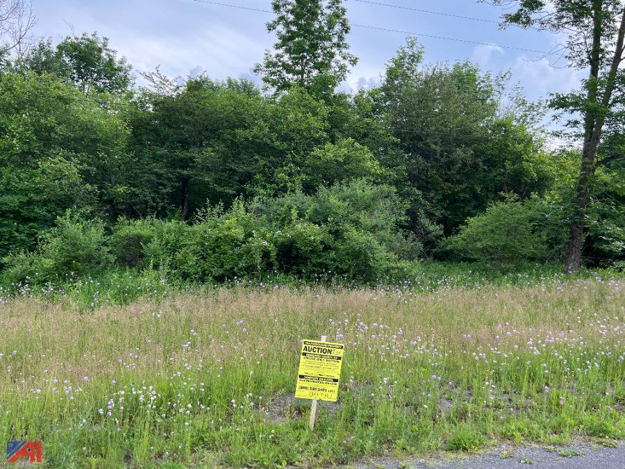Auctions International Auction Herkimer County Tax Foreclosed Real