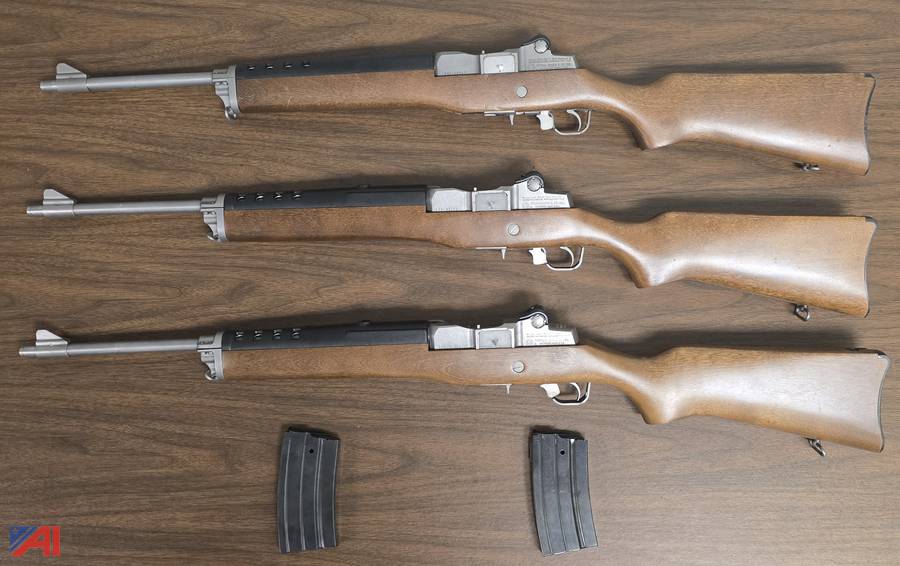 Auctions International Auction Fayette County, FirearmsGA 39812