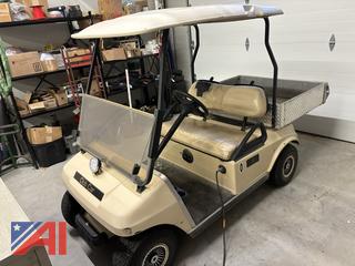 2013 Club Car DS Electric Golf Cart